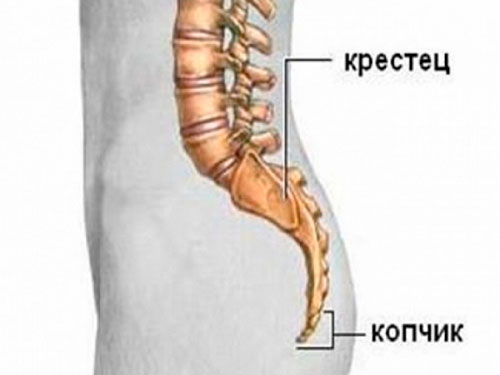 Почему болит крестец при беременности