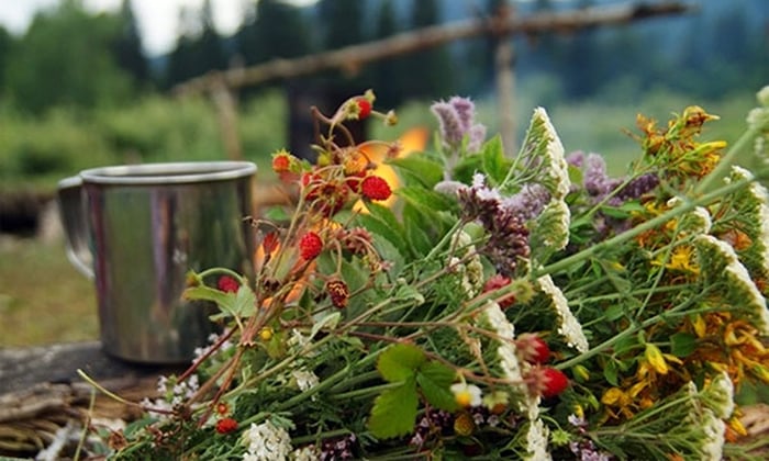 fito-tea5 Молочница: как быстро и эффективно провести лечение?