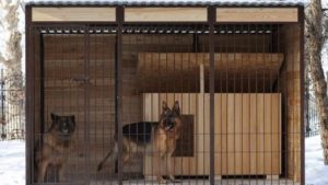 вольер для овчарки