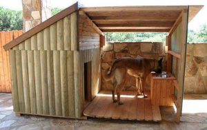 зона кормления