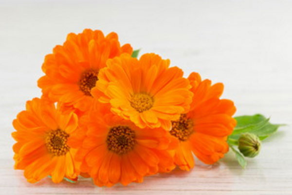 Букет из пяти цветов календулы