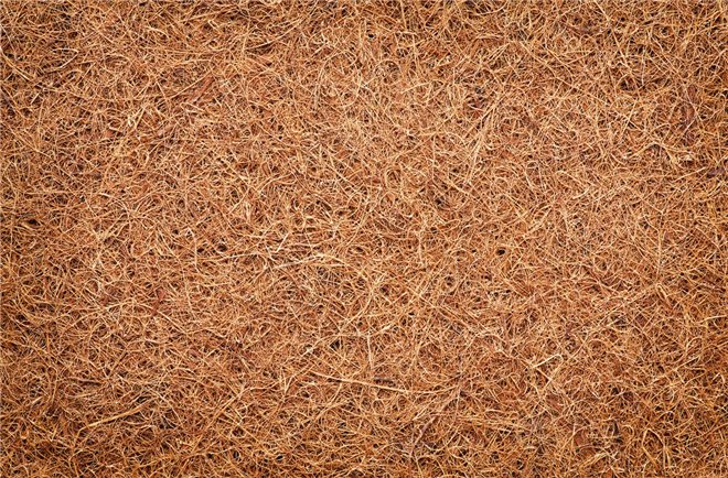 Рейтинг: ТОП-10 лучших кокосовых матрасов