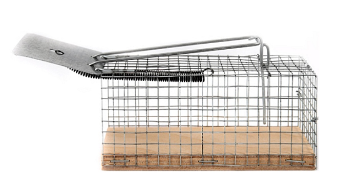 мышеловка-клетка