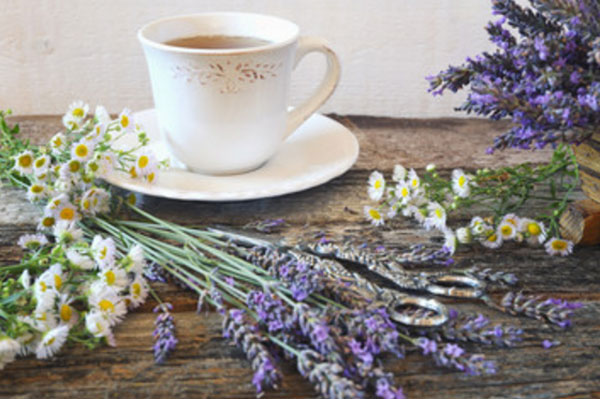 Чашка чая. Рядом лежит ромашка и лаванда