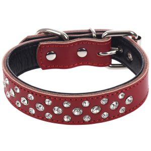 Важные правила выбора ошейника и намордника для Таксы: отзывы и цена