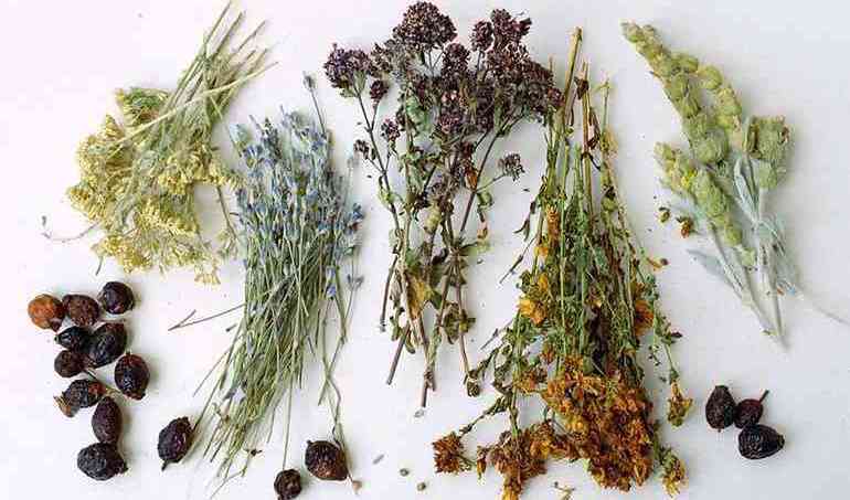 Полезные травы при простатите и аденоме простаты