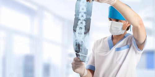 Строение грудного отдела позвоночника