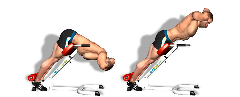 Рекомендации по выполнению занятий Рекомендации по выполнению занятий