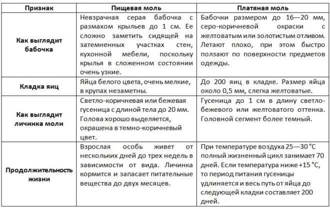 отличия моли