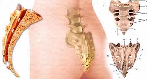 Существует ряд заболеваний, вызывающих боль в копчике