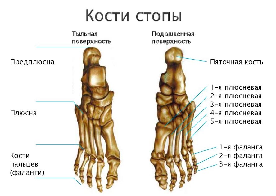 Что такое артроз стопы, его симптомы и лечение