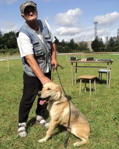 Русская гончая: какой характер у собаки? Уход и правила содержания