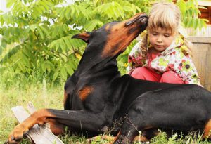 доберман и ребенок