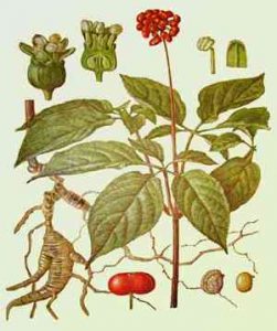 Препараты, которые помогут вернуть эрекцию!