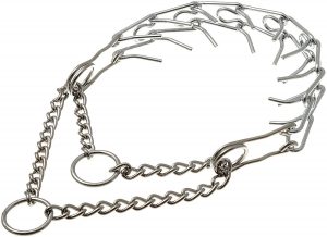 Важные правила выбора ошейника и намордника для Таксы: отзывы и цена