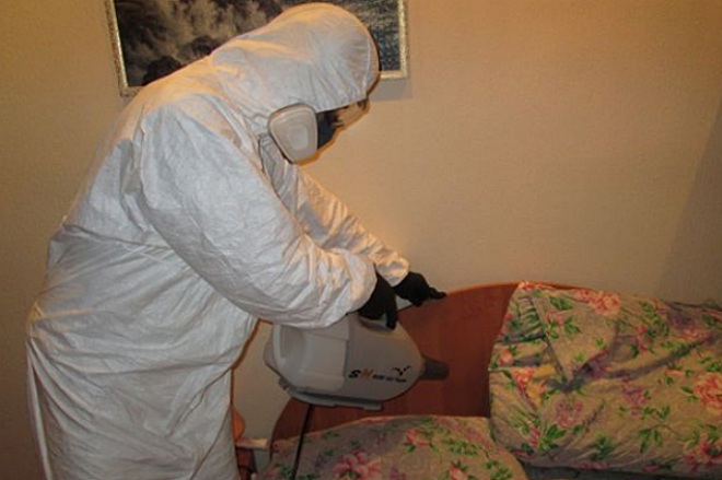 дезинсекция от клопов