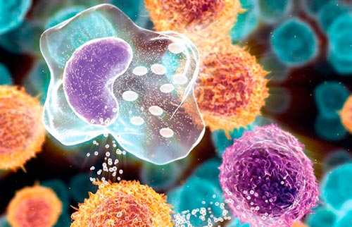 Вирусы при артрите