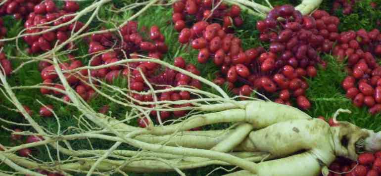 Вылечить импотенцию в домашних условиях можно!