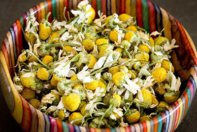 Сухая ромашка Сухая ромашка