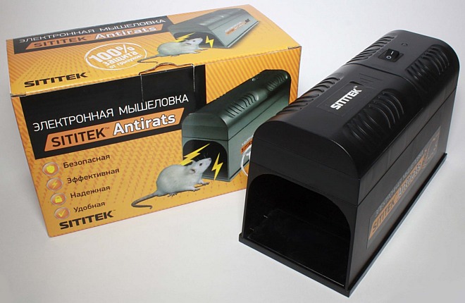 электронная мышеловка