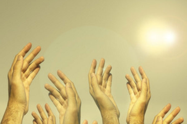 Людские руки тянутся к солнцу