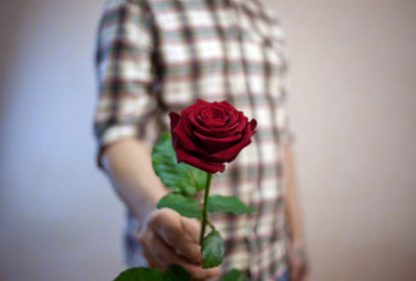На переднем плане роза. На заднем парень, который ее держит
