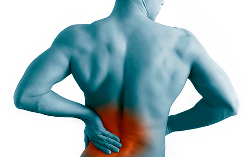 Почему болят мышцы спины