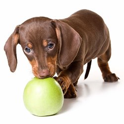 Натуральные продукты