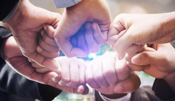 Несколько сотрудников прислоняют свои кулаки друг к другу