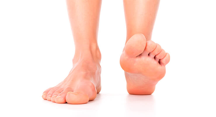 Как устроена стопа: анатомия костей, функции, болезни