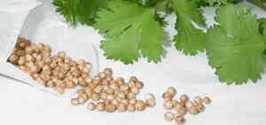 К чему приводит обострение простатита? (обновлено в 2019 году)