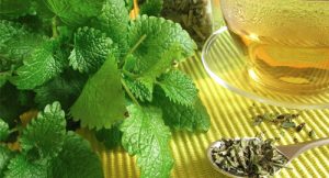 Мелисса от бессонницы