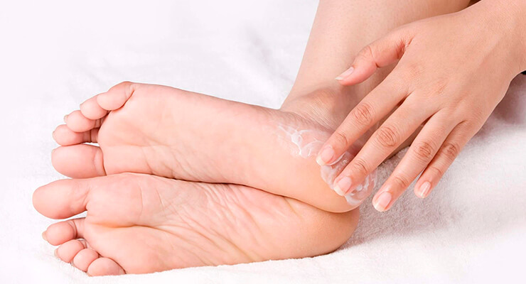 Как устроена стопа: анатомия костей, функции, болезни Как устроена стопа: анатомия костей, функции, болезни