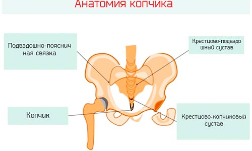 Боли, отдающие в копчик