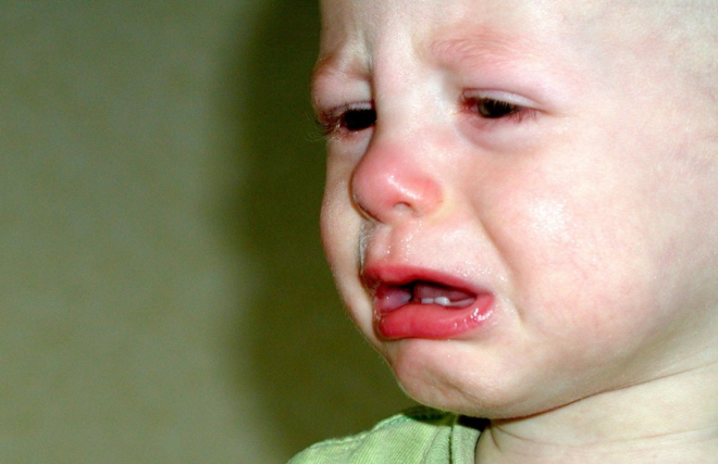 Опасные заболевания: от клопов к человеку