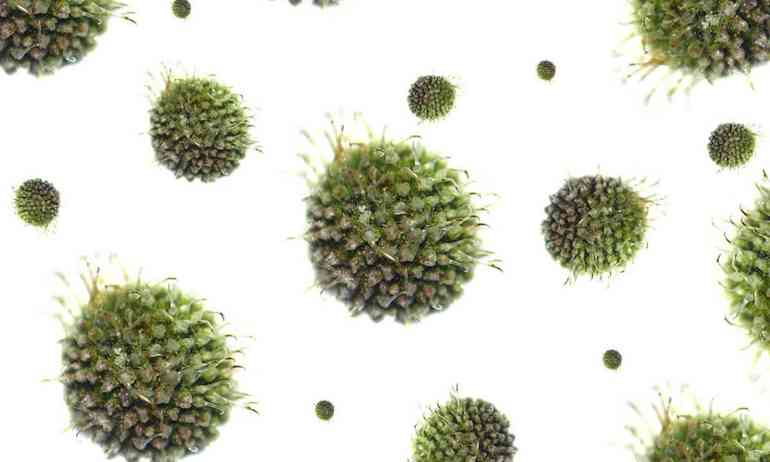 Рецидив генитального герпеса: как быть?