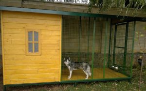 Несколько правил и рекомендаций по созданию вольера и будки для лайки