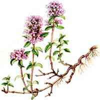 Препараты, которые помогут вернуть эрекцию!