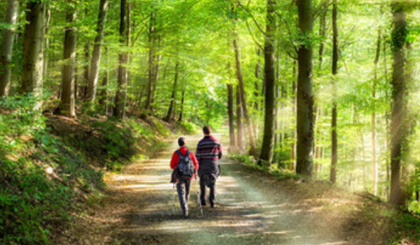 Пара гуляет по лесу