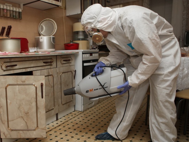 дезинсекция от тараканов