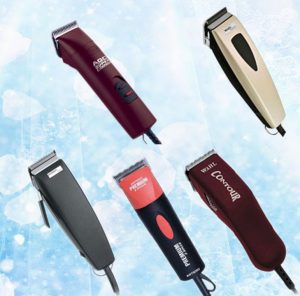 Подробная инструкция как самой подстричь Йорка в домашних условиях: фото причесок