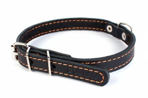 Важные правила выбора ошейника и намордника для Таксы: отзывы и цена