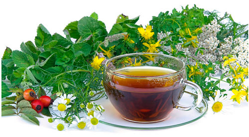 Лечение болезни Бехтерева народными средствами и травами