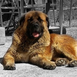 Существующие стандарты