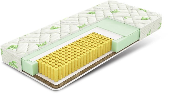 Орматек миллениум