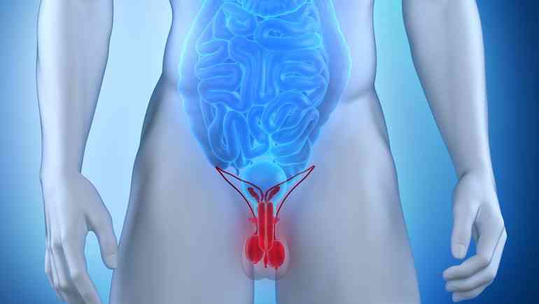 Киста яичка что это такое?