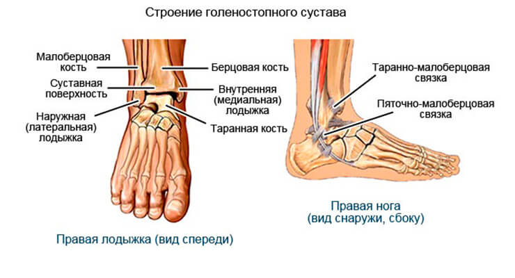 Строение Строение