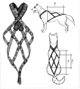 Разновидности ошейников и шлеек для хаски: как не ошибиться с выбором? Инструкция по самостоятельному пошиву
