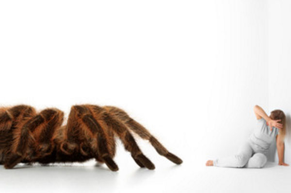 Женщина прячется от огромного паука