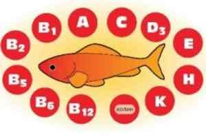 Вылечить импотенцию в домашних условиях можно!